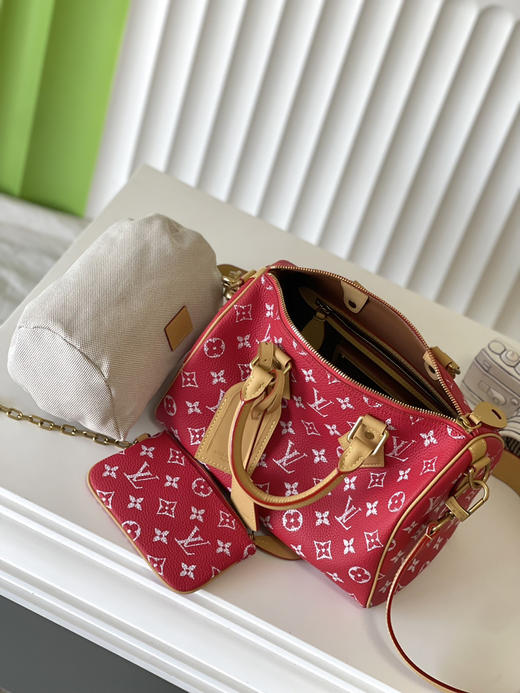 秋冬特惠💰1100 原单LV M24425红 尺寸：25×15×15cm SPEEDY P9 全皮枕头包 变码芯片 商品图6