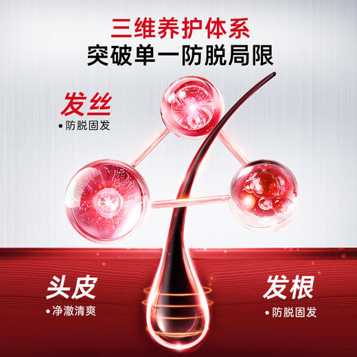 【中欧班列精选】日本进口 hm卡蓓诺 强韧防脱洗发水350mL 商品图3