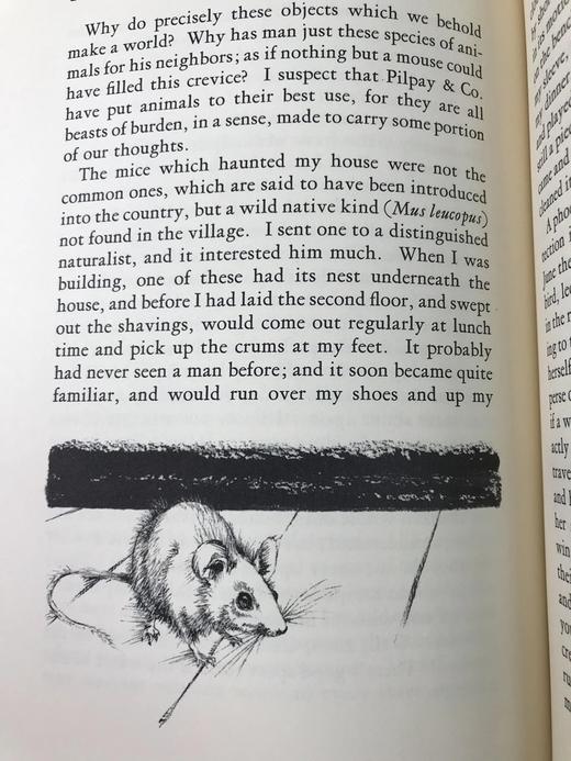 限量版！亨利・戴维・梭罗《瓦尔登湖》 配插图 富兰克林图书馆豪华皮装本 商品图11