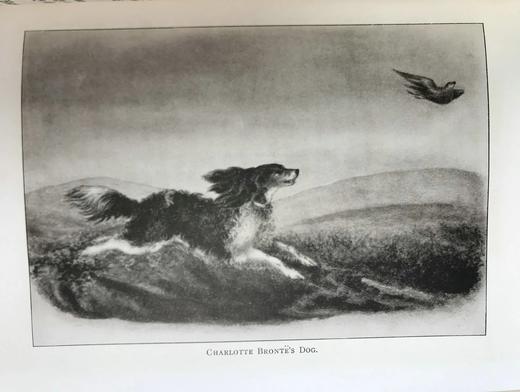 1911年 勃朗特姐妹小说全集（全12卷） 配插图 漆布精装大32开 商品图9