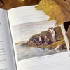 【插图珍藏版】猎人笔记 商品缩略图2