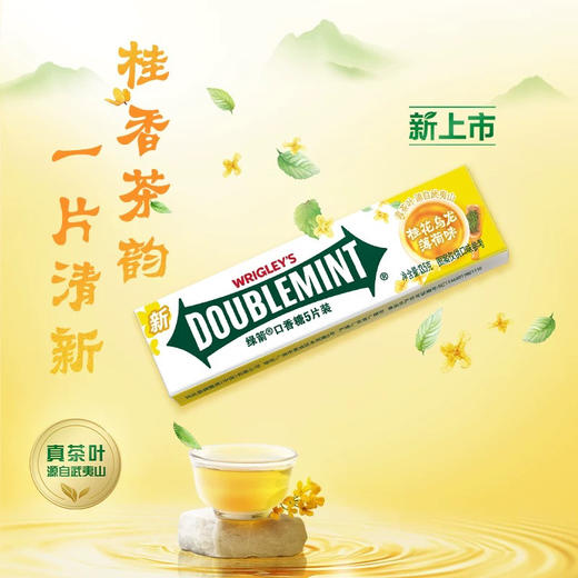 B215 绿箭口香糖新品桂花乌龙味5片装糖 商品图1