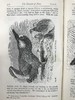 1899年 达尔文《人类的由来及性选择》 数十幅版画插图 漆布精装32开 商品缩略图13