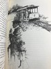 限量版！含藏书票 威廉・福克纳《喧哗与骚动》 配插图 富兰克林图书馆豪华皮装本 商品缩略图13