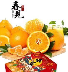 【自营】悠乐果精品一级四川春见爆汁耙耙柑顺丰包邮