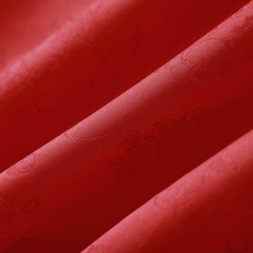 「高货wl」全新升级【铂金会员349/天猫469/差价120】(35419)洛诗琳双面穿新中式外套2025秋冬提花盘扣缎面国风上衣 商品图3