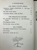 约20世纪早期 霍桑《神奇故事集》 鬼才拉克姆24幅手工贴图 漆布精装16开 商品缩略图5