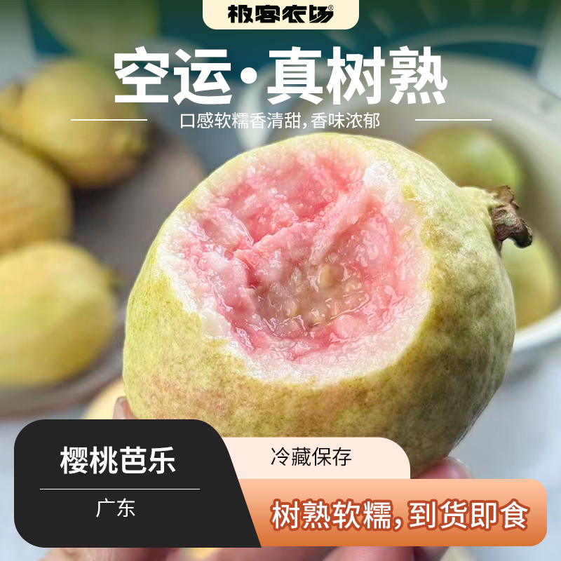 樱桃芭乐丨 软糯香甜，都是树上熟采摘。气温较低，果子上色慢，会有个别偏绿，轻微磕碰，不影响食用。⭐️顺丰快递