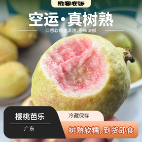 樱桃芭乐丨 软糯香甜，都是树上熟采摘。气温较低，果子上色慢，会有个别偏绿，轻微磕碰，不影响食用。⭐️顺丰快递