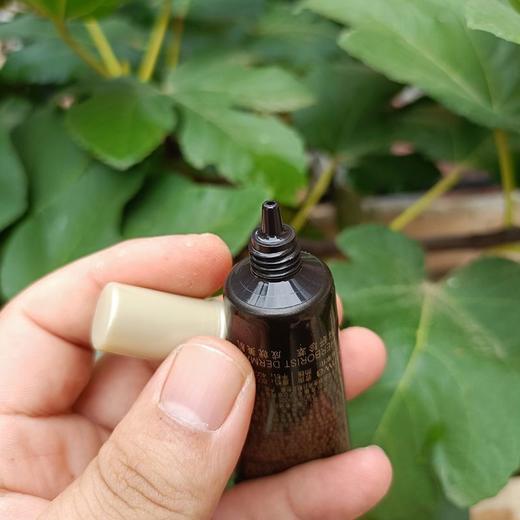 5支佰草集典萃多肽凝时抗皱精华液7ml小样 商品图3