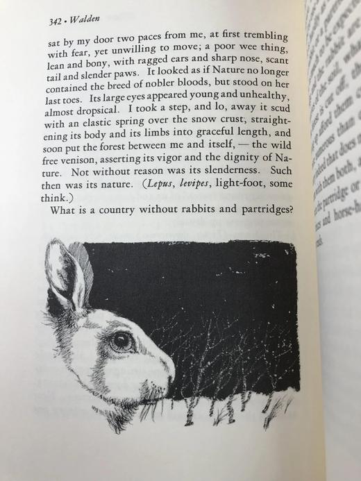 限量版！亨利・戴维・梭罗《瓦尔登湖》 配插图 富兰克林图书馆豪华皮装本 商品图7