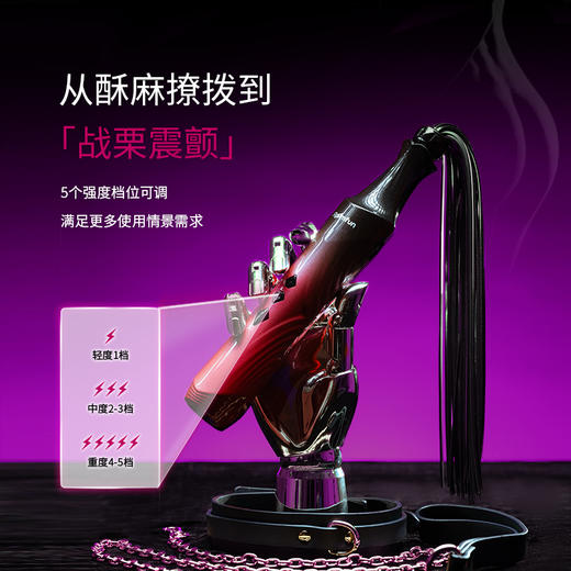 Roomfun 房趣权杖电滋棒电散鞭 SM电击调教 商品图3