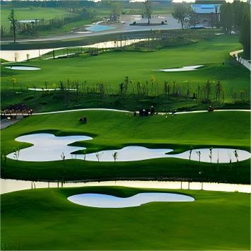 江苏盐城·射阳岛高尔夫球会 Yancheng Sheyang Island Golf Club | 盐城高尔夫球场 | 江苏高尔夫球场  |  中国 商品图3