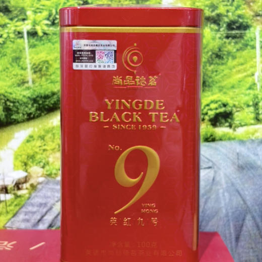 尚品德茗英德红茶-岭南英红9号100g 商品图0