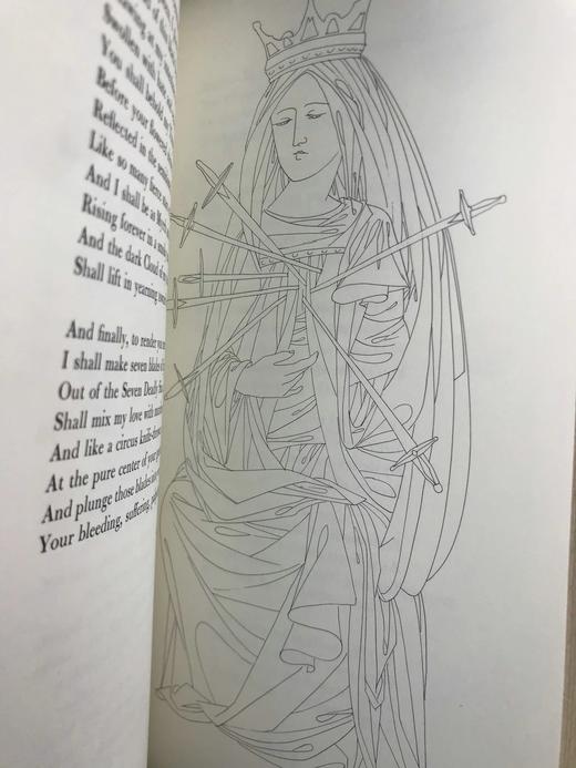 含藏书票限量版！波德莱尔《恶之花》 配插图 豪华皮装18开 商品图7