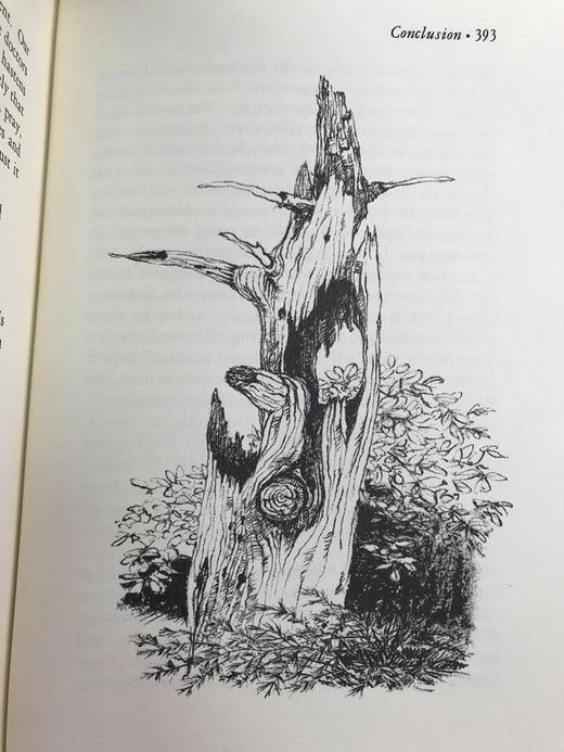 限量版！亨利・戴维・梭罗《瓦尔登湖》 配插图 富兰克林图书馆豪华皮装本 商品图5