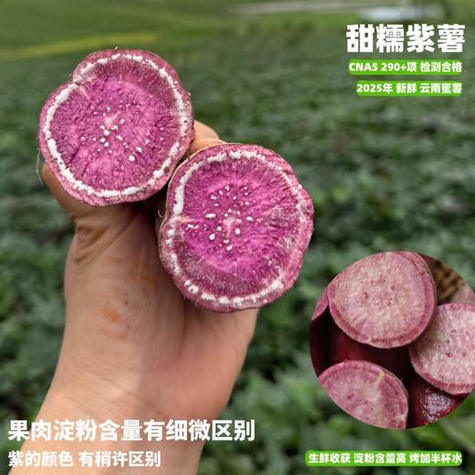 [最农公社]双拼5A糯金莎(红薯/紫薯)免洗恒温糖化红薯买4斤送0.5斤实发4.5斤 商品图8