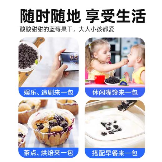 妙伯乐有机蓝莓干100g 商品图10