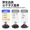 妙伯乐有机蓝莓干100g 商品缩略图11