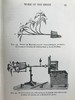 1930年 伍德黑德《植物研究》 数百幅插图 漆布精装32开 商品缩略图10