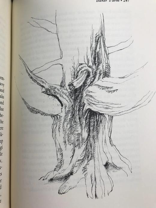 限量版！亨利・戴维・梭罗《瓦尔登湖》 配插图 富兰克林图书馆豪华皮装本 商品图12