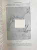 【法语】限量510册！1900年 古斯塔夫·莫罗画集 漆布精装16开 商品缩略图5
