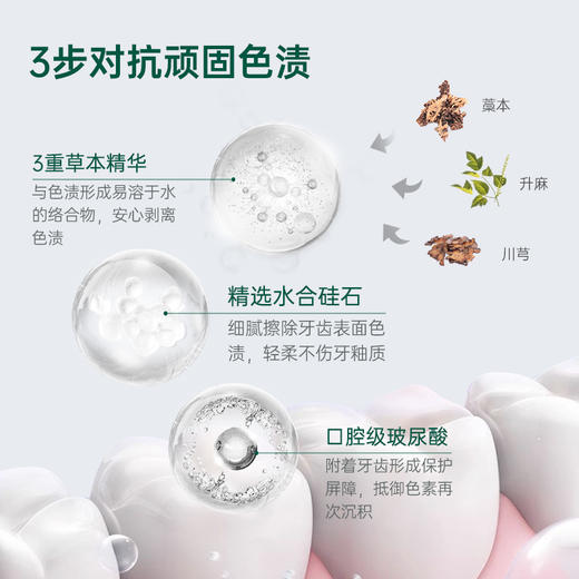 freefuns青蒿多效牙膏  100g  植物成分青蒿 草本去渍技术 双重活性因子 柚然茉莉香 商品图2