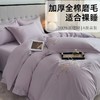 三泰龙 秋冬新品加厚保暖100全棉磨毛床上四件套纯棉长绒棉绣花被套678457Q 商品缩略图0