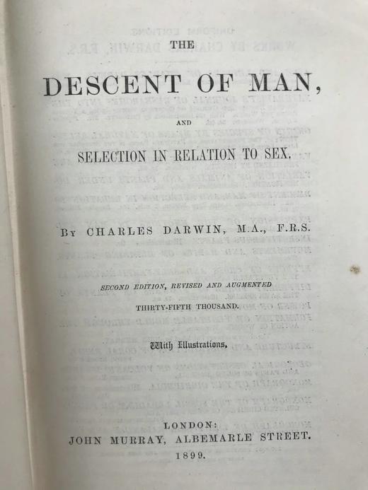1899年 达尔文《人类的由来及性选择》 数十幅版画插图 漆布精装32开 商品图2