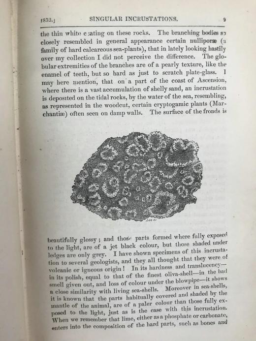 1889年 达尔文《比格尔号环球航行日记》 配插图 漆布精装32开 商品图9