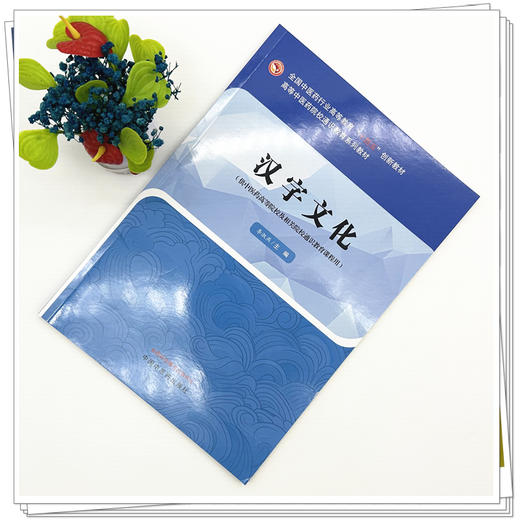 汉字文化 李淑燕 主编 高等中医药院校通识教育系列教材 全国中医药行业高等教育十四五创新教材 中国中医药出版社 商品图1