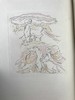 The Nonesuch Press私人出版社限量1500册 原品铜版画手工上彩插图 1927年 詹姆斯·汤姆森《四季》 亨利·雅基耶5幅插图 布面精装16开 商品缩略图5