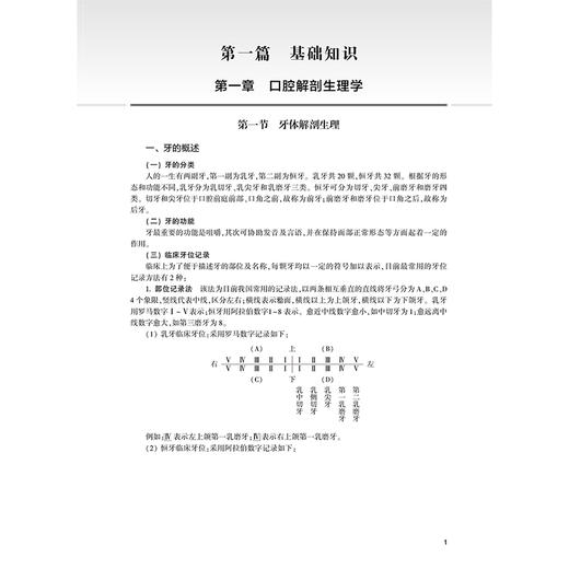 2026口腔医学技术 全国卫生专业技术资格考试指导 全国卫生专业技术资格考试用书编写专家委员会编写(士、师、中级)人民卫生出版社 商品图4