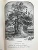 1892年 十九世纪诗人作品集 145幅版画插图 漆布精装32开 商品缩略图7