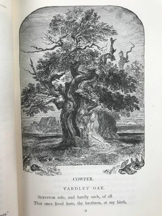 1892年 十九世纪诗人作品集 145幅版画插图 漆布精装32开 商品图7