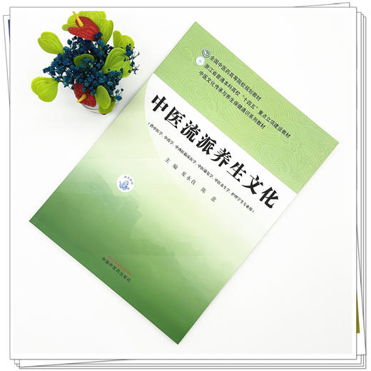 中医流派养生文化 夏永良 陈意 主编 全国中医药高等院校规划教材 中医文化传承与养生保健通识系列教材 中国中医药出版社 商品图1