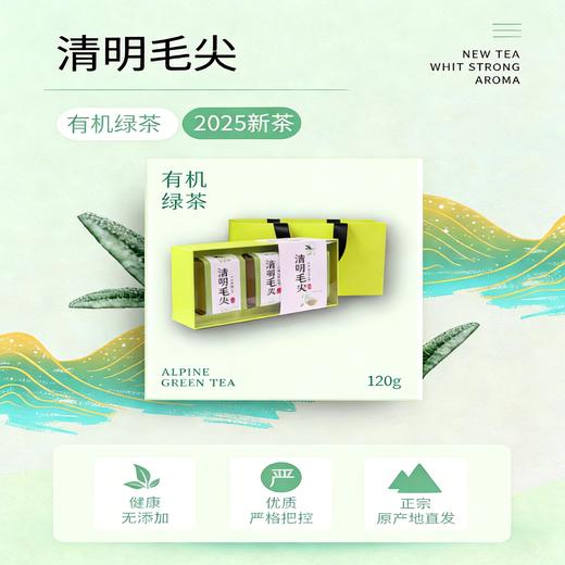 鹊鸣春清明毛尖 | 桂江春首信，汤色嫩绿明亮，农残不得检出 商品图0