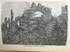 1881年 蕨类植物园艺指南 数十幅插图（含彩色） 漆布精装32开 商品缩略图13