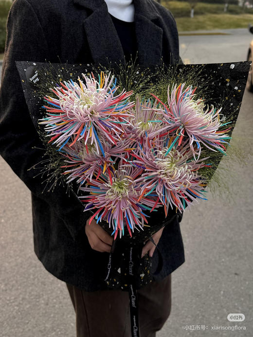 粉色烟花菊 商品图1