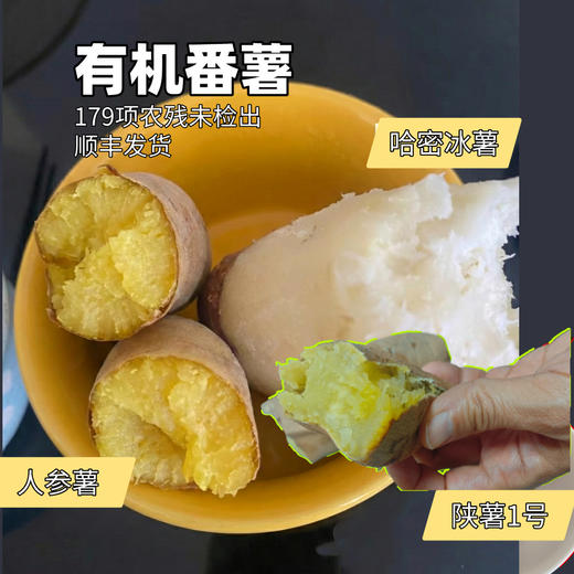 有机番薯，多品种可选，颠覆认知的糯沙香甜，安心美味（大小混装5斤装，顺丰包邮，72小时发货急件慎拍) 商品图0