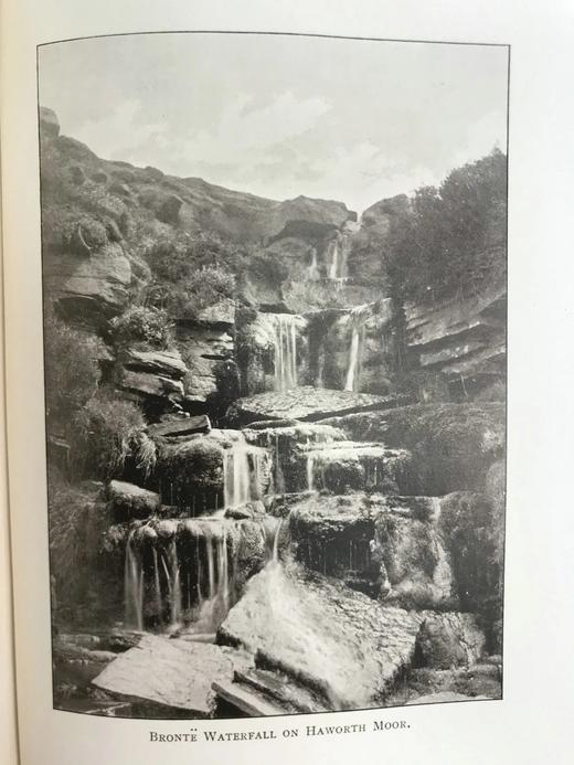 1911年 勃朗特姐妹小说全集（全12卷） 配插图 漆布精装大32开 商品图11