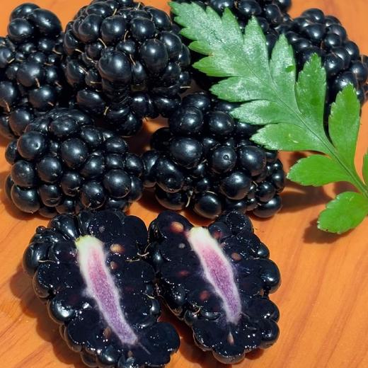 花蝶香黑树莓 商品图1
