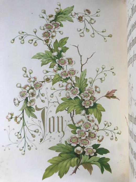 1848年 欧文琼斯 花朵与它们的千思万绪 10余幅精美套色版画 皮革浮雕艺术装帧精装16开 商品图9