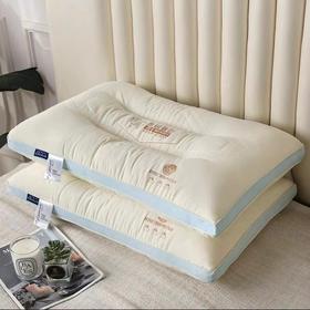 枕头枕芯家用单个女成人护颈椎助深度睡眠觉专用枕套一对保健枕
