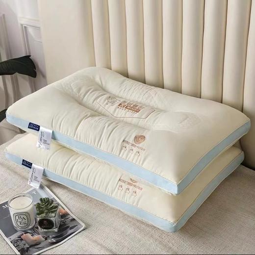 枕头枕芯家用单个女成人护颈椎助深度睡眠觉专用枕套一对保健枕 商品图0