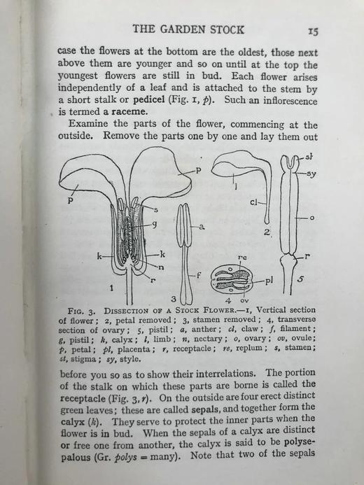 1930年 伍德黑德《植物研究》 数百幅插图 漆布精装32开 商品图6