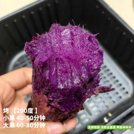 [最农公社]双拼5A糯金莎(红薯/紫薯)免洗恒温糖化红薯买4斤送0.5斤实发4.5斤 商品图7
