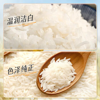 KO-KO(口口牌) 泰国香米 大米10斤 长粒米 原粮进口大米 koko泰国香米 /粮油调味 /米 /泰国香米 商品图4