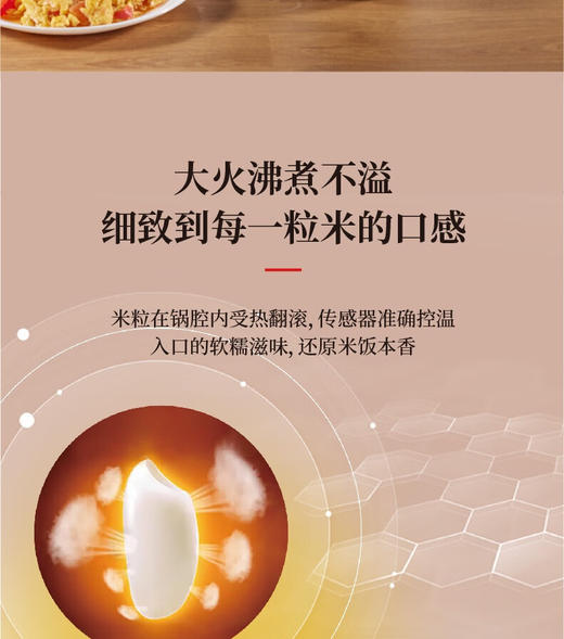 膳魔师电饭锅(电饭煲)香槟金EHA-4130A-CG 商品图3