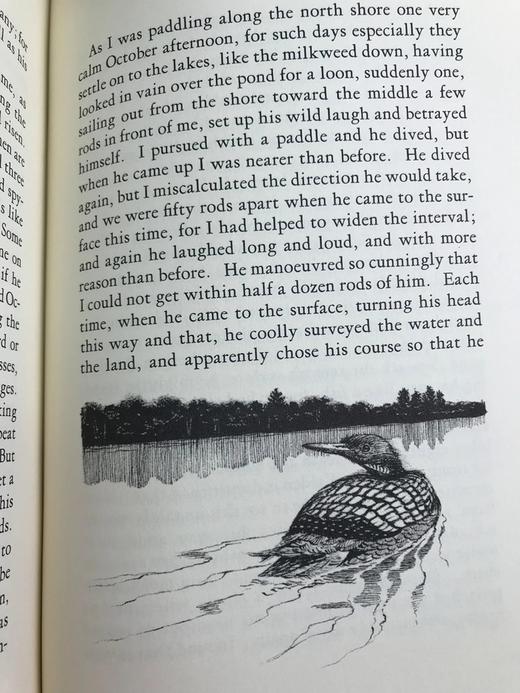 限量版！亨利・戴维・梭罗《瓦尔登湖》 配插图 富兰克林图书馆豪华皮装本 商品图10